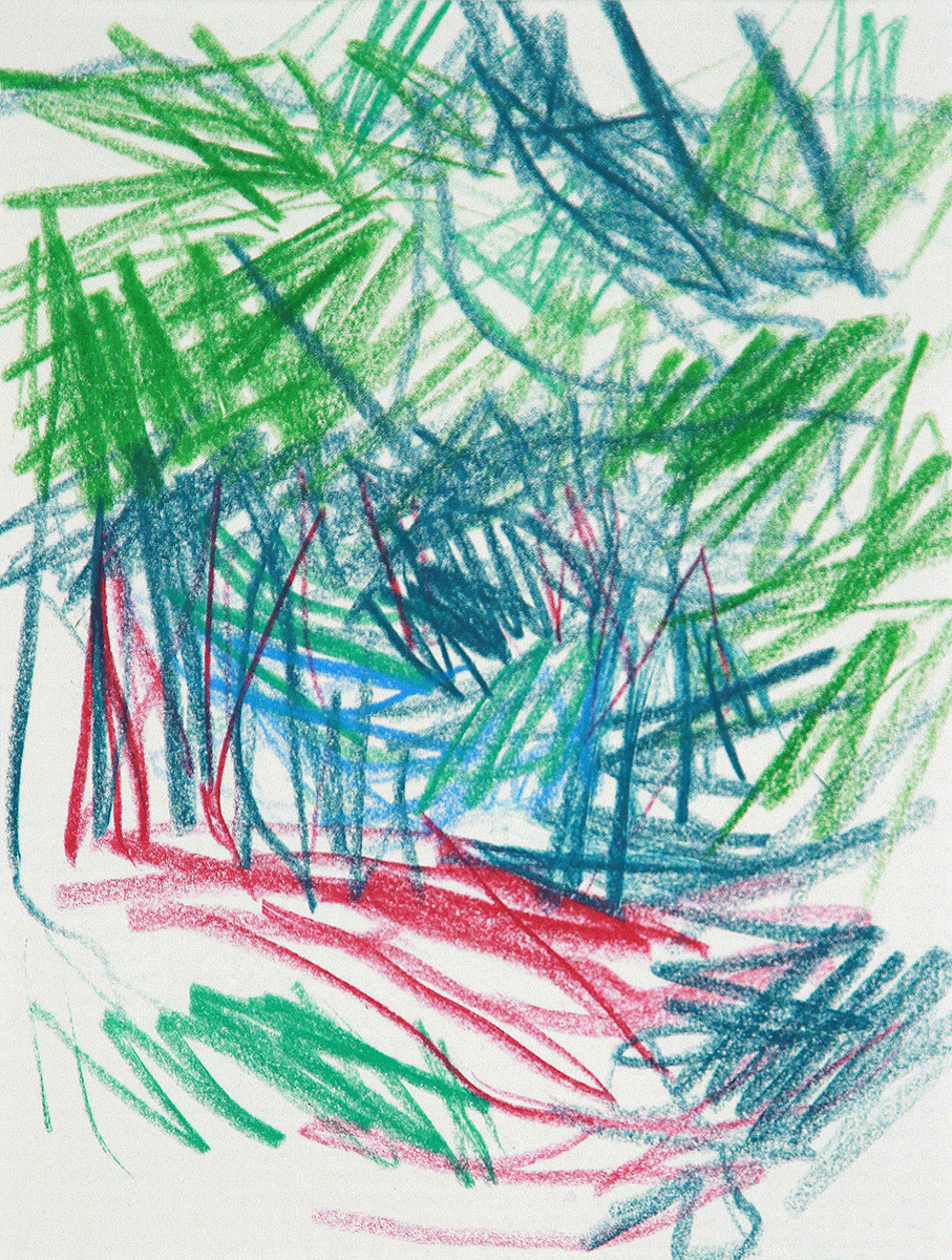 WaldWeg V, 201723 x 17,5 cmCrayon on paper