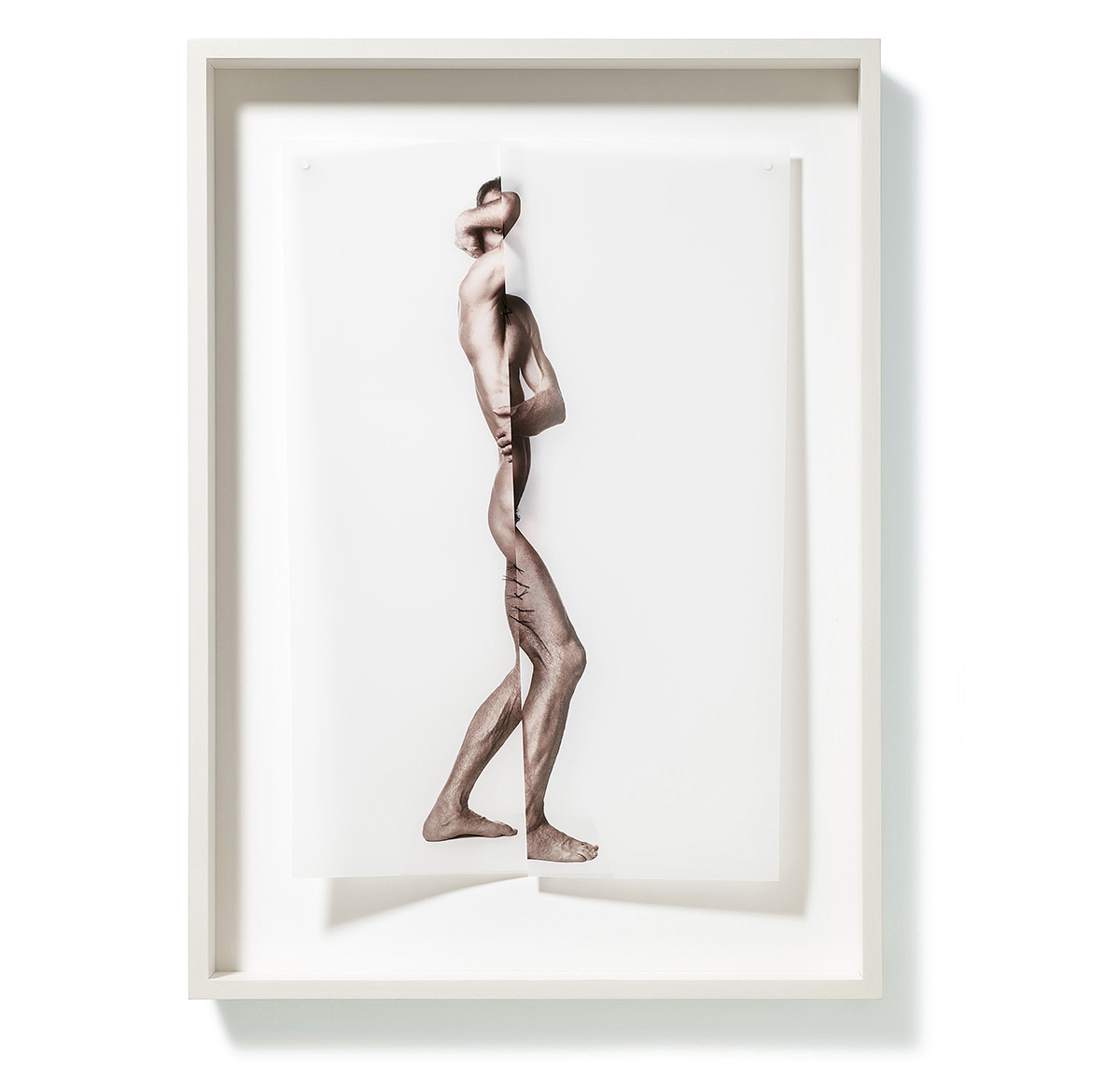 Zur Figur 01, 202070 x 50 x 7,5 cmPhotography, pigment print on transparent paper, sewed; framed