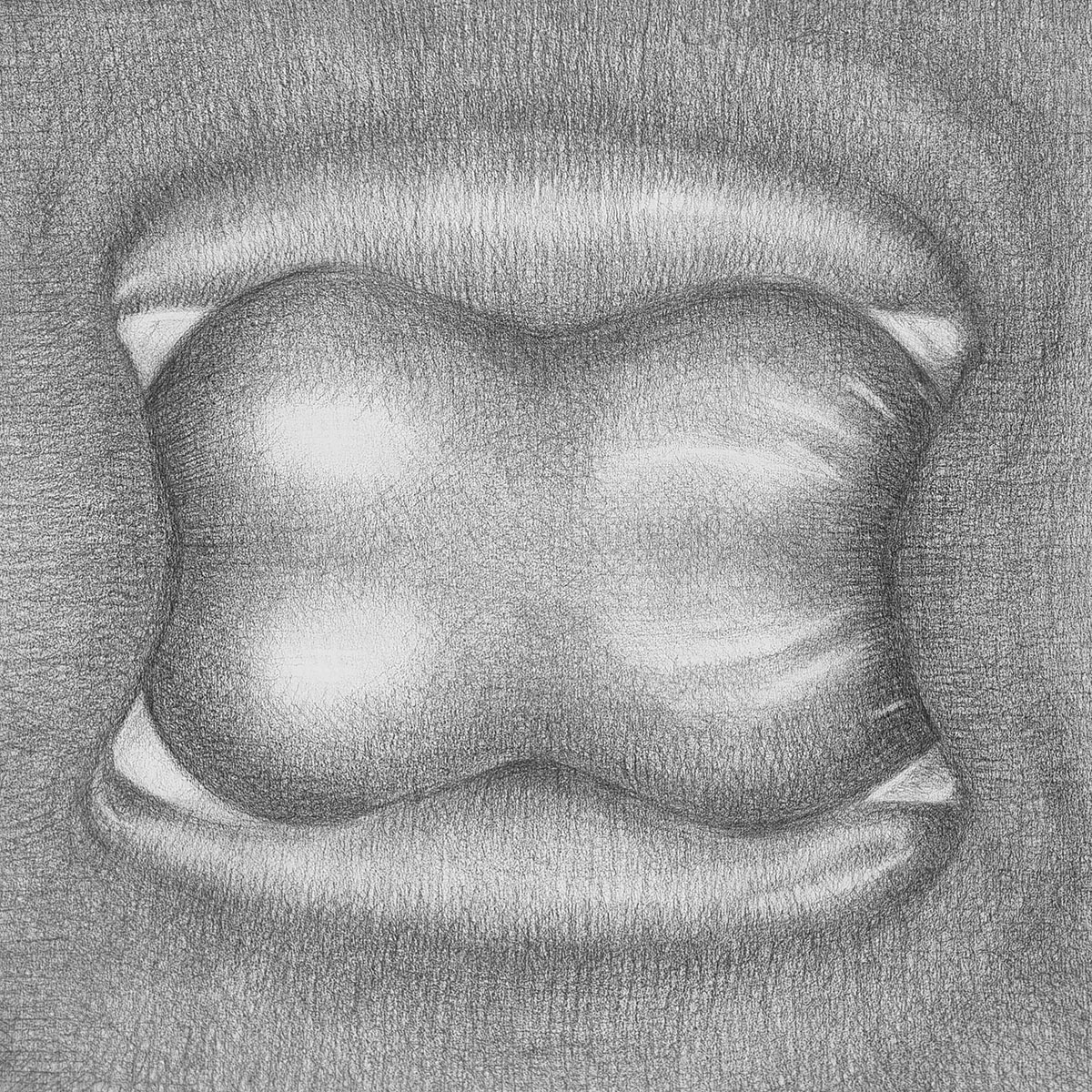 UNTITLED (BODYSCAPE 03), 202440 x 40 cmPencil on paper; museum glass