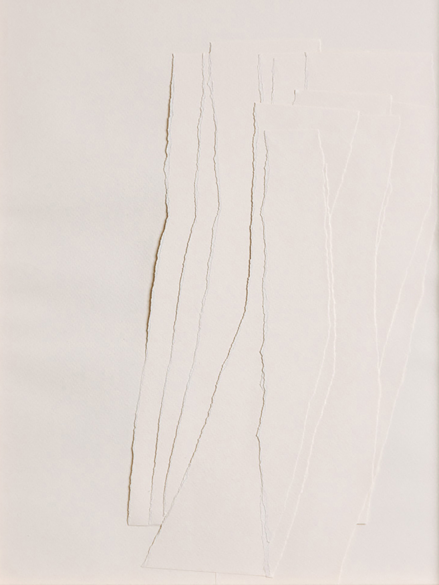 Zerreissprobe nude, BÄUME, 201940 x 30 cmCollage, Papier auf Papier; gerahmt in Museumsglas