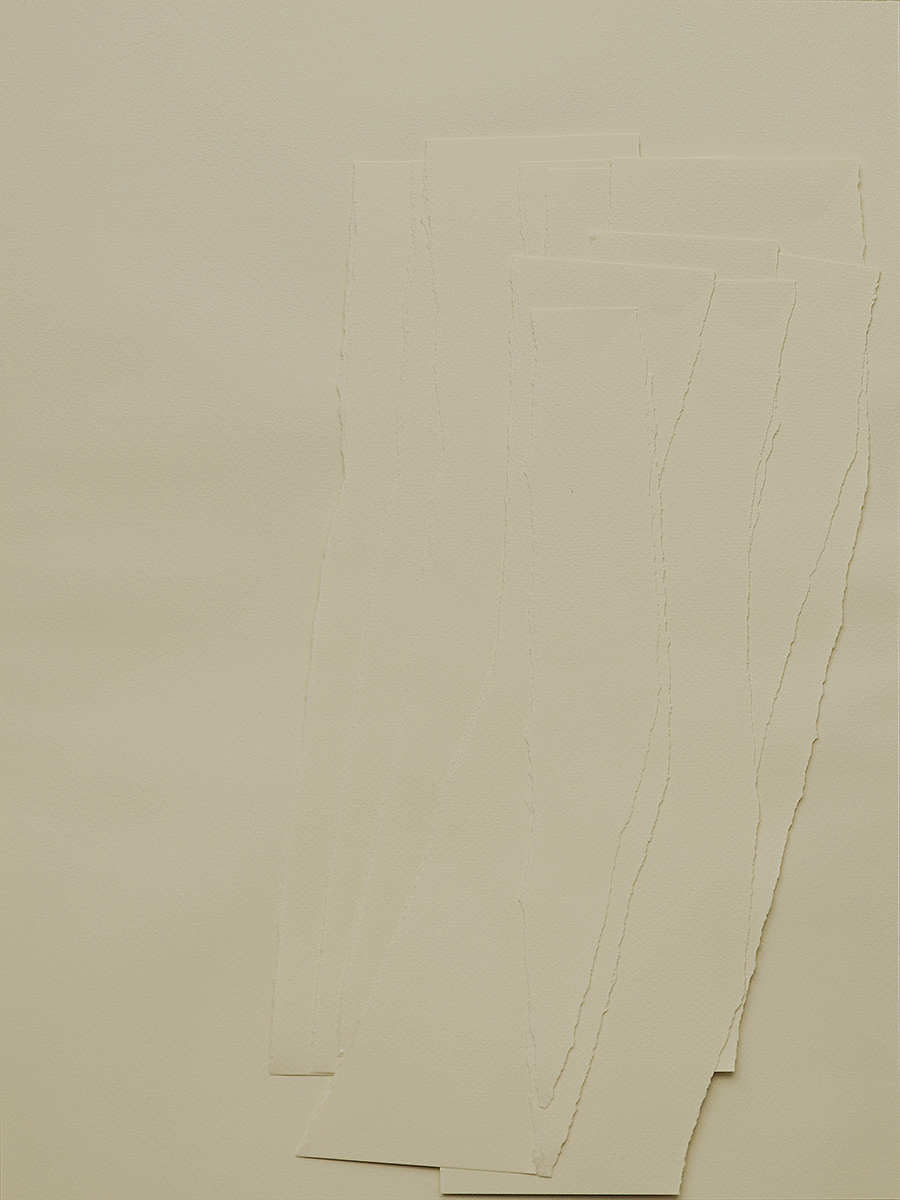 Zerreissprobe hellbeige, BÄUME, 201940 x 30 cmCollage, Papier auf Papier; gerahmt in Museumsglas