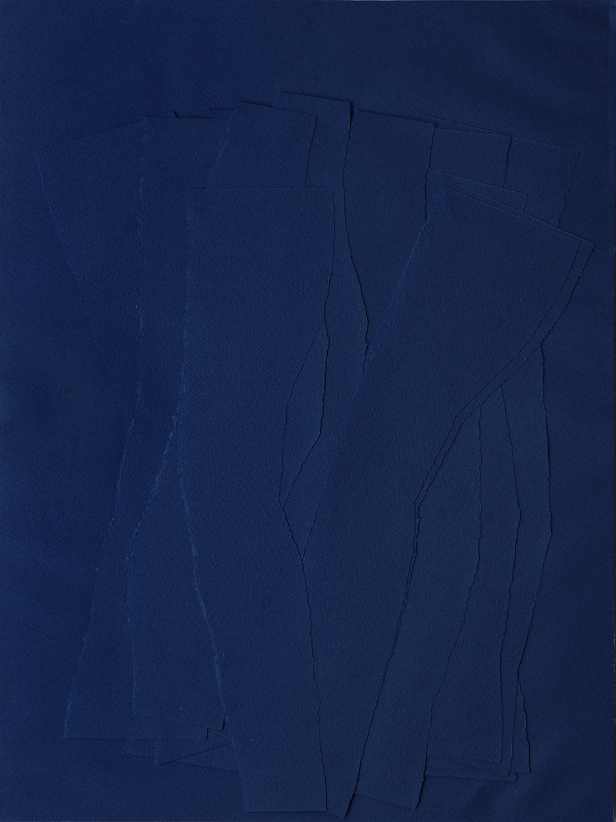 Zerreissprobe dunkelblau, BÄUME, 201940 x 30 cmCollage, Papier auf Papier; gerahmt