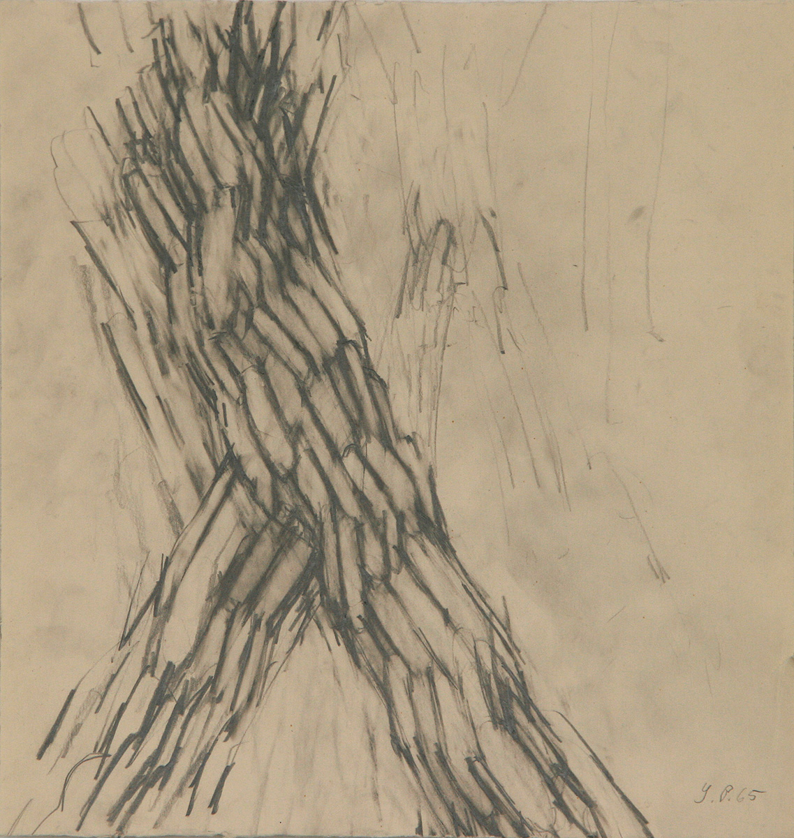 Schreitender Torso, 196531,5 x 30 cmBleistift auf Papier