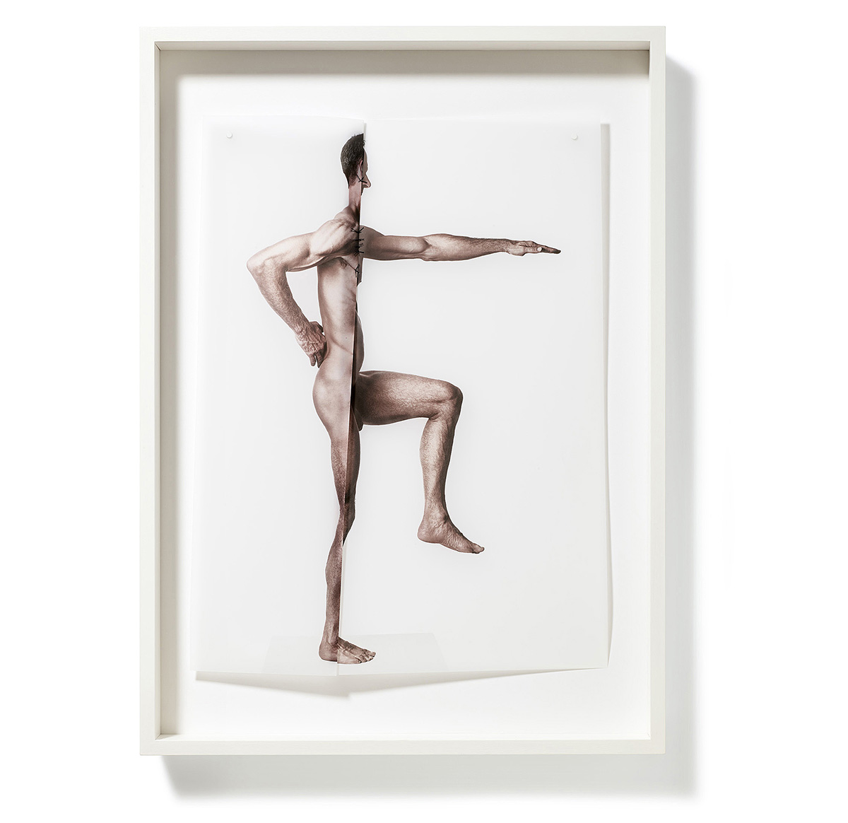 Zur Figur 02, 202070 x 50 x 7,5 cmPhotography, pigment print on transparent paper, sewed; framed