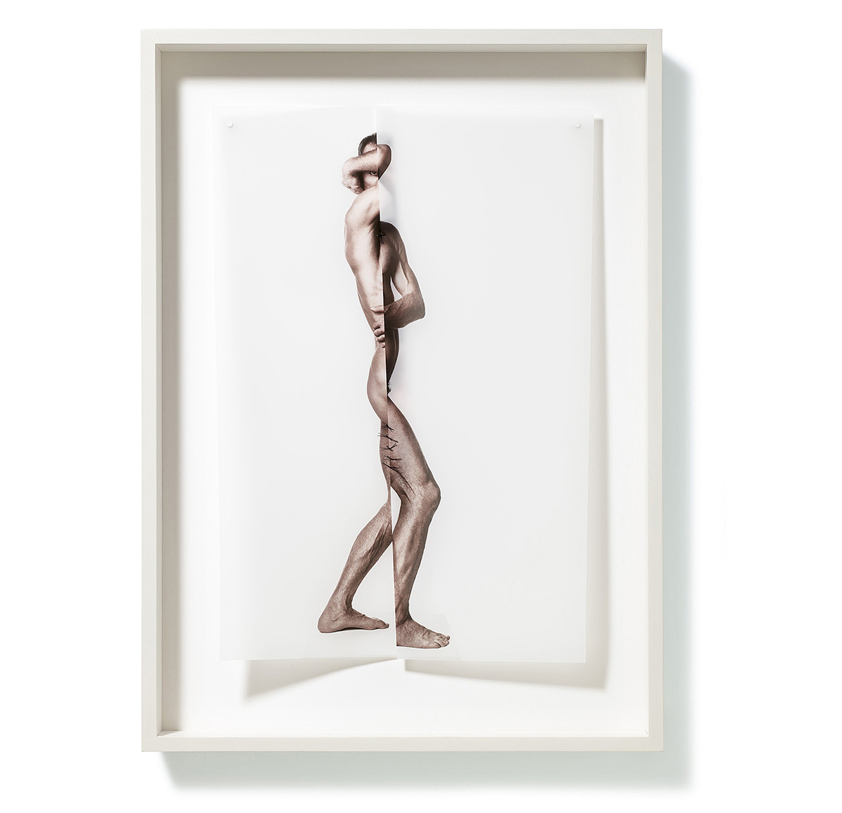 Zur Figur 01, 202070 x 50 x 7,5 cmFotografie, Pigmentprint auf Transparentpapier, genäht; gerahmt