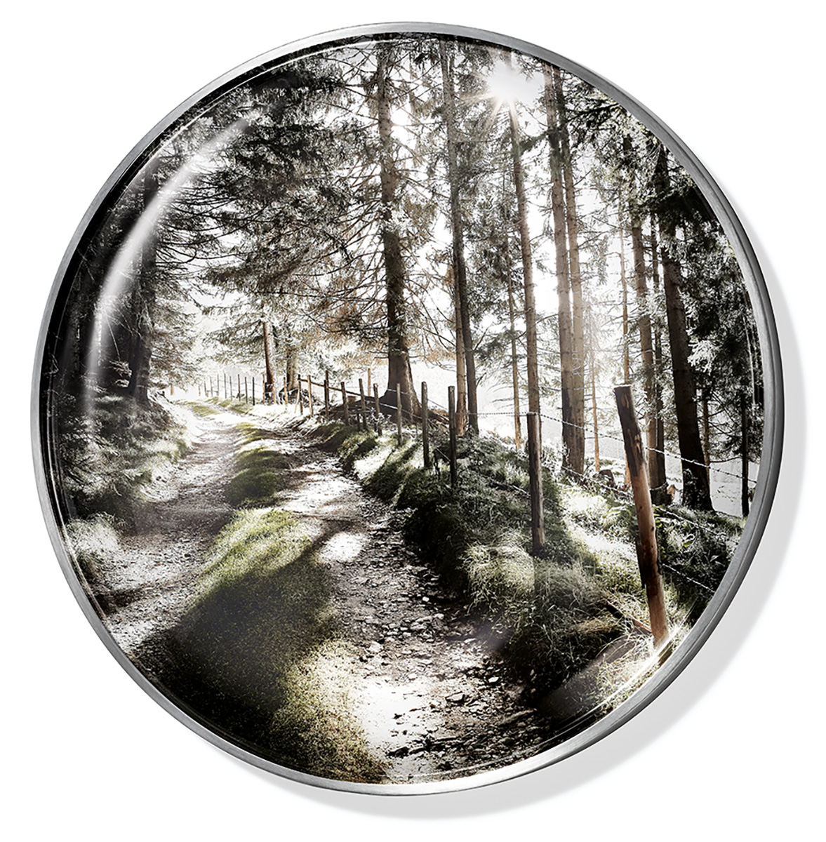 Trophy 02, 2013ø = 26 cmPhotography, pigment print on Iridium Silver Gloss paperbehind glass lens, framed with steel panelEdition: 5 Trophy 02, 2013ø = 26 cmPhotography, pigment print on Iridium Silver Gloss paperbehind glass lens, framed with steel panelEdition: 5