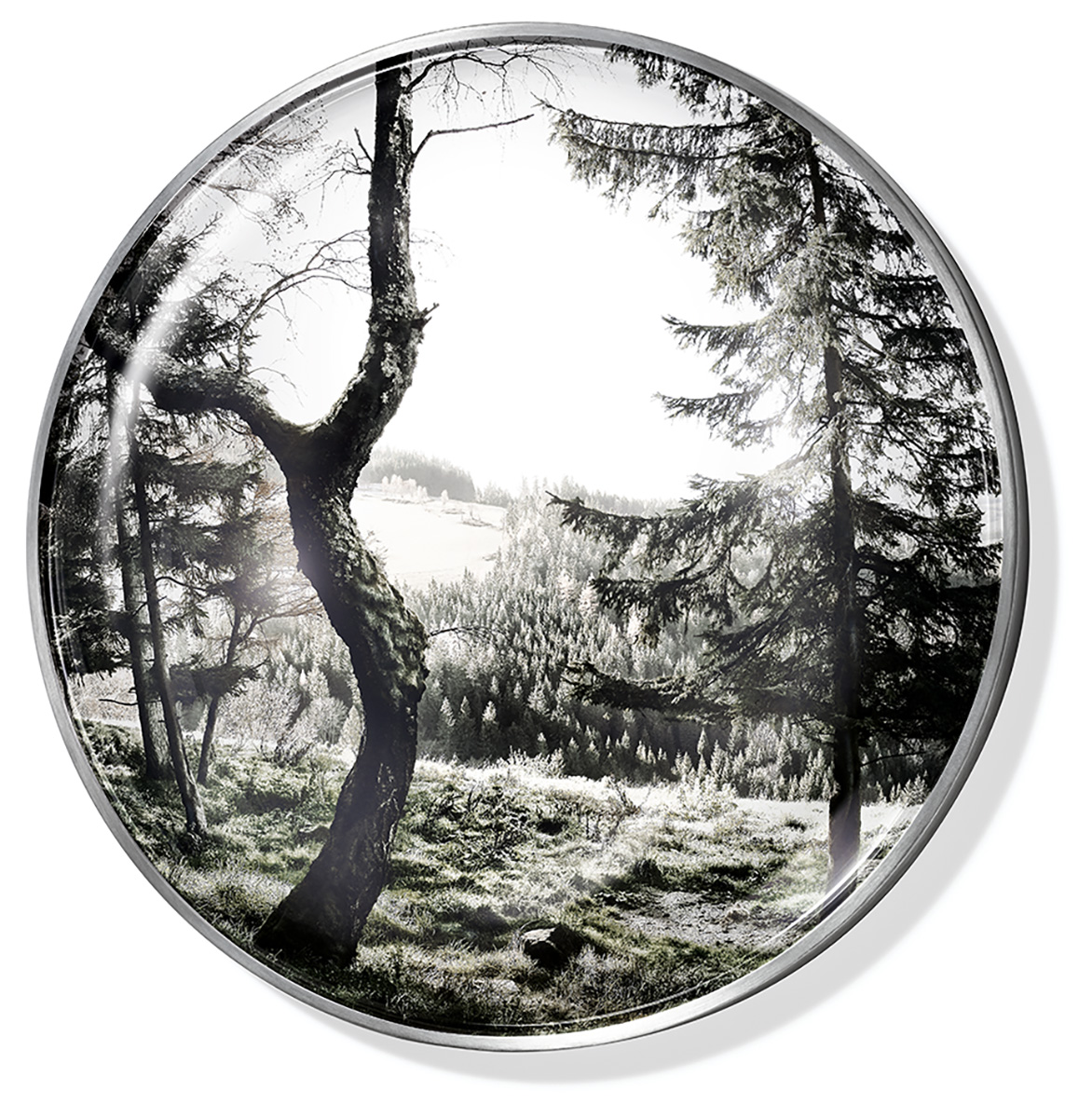 Trophy 03, 2013ø = 26 cmPhotography, pigment print on Iridium Silver Gloss paperbehind glass lens, framed with steel panelEdition: 5