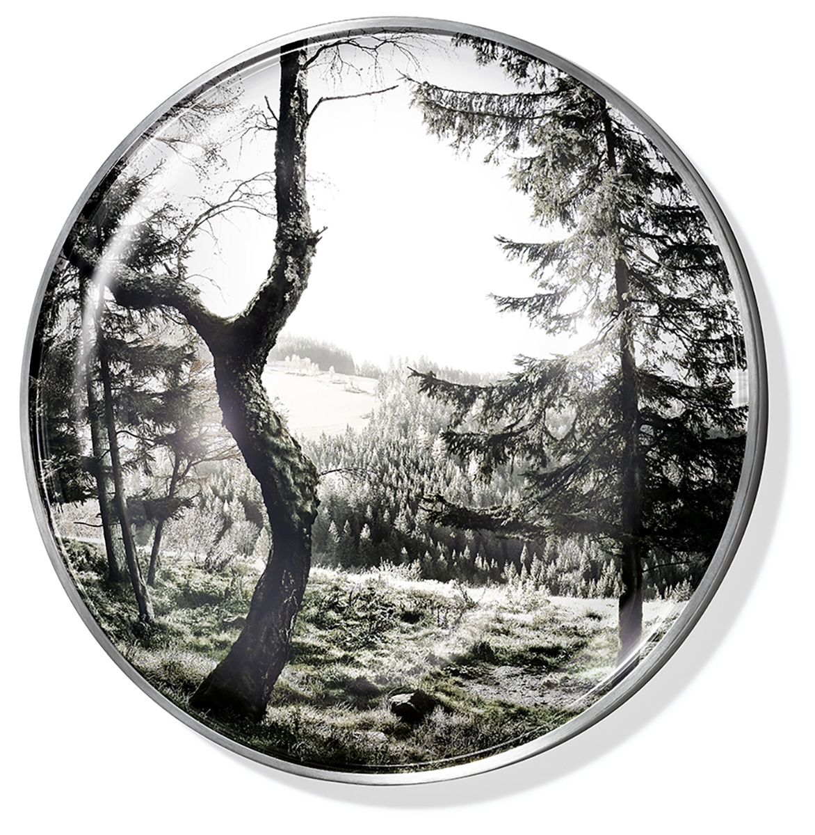 Trophy 03, 2013ø = 26 cmPhotography, pigment print on Iridium Silver Gloss paperbehind glass lens, framed with steel panelEdition: 5 Trophy 03, 2013ø = 26 cmPhotography, pigment print on Iridium Silver Gloss paperbehind glass lens, framed with steel panelEdition: 5