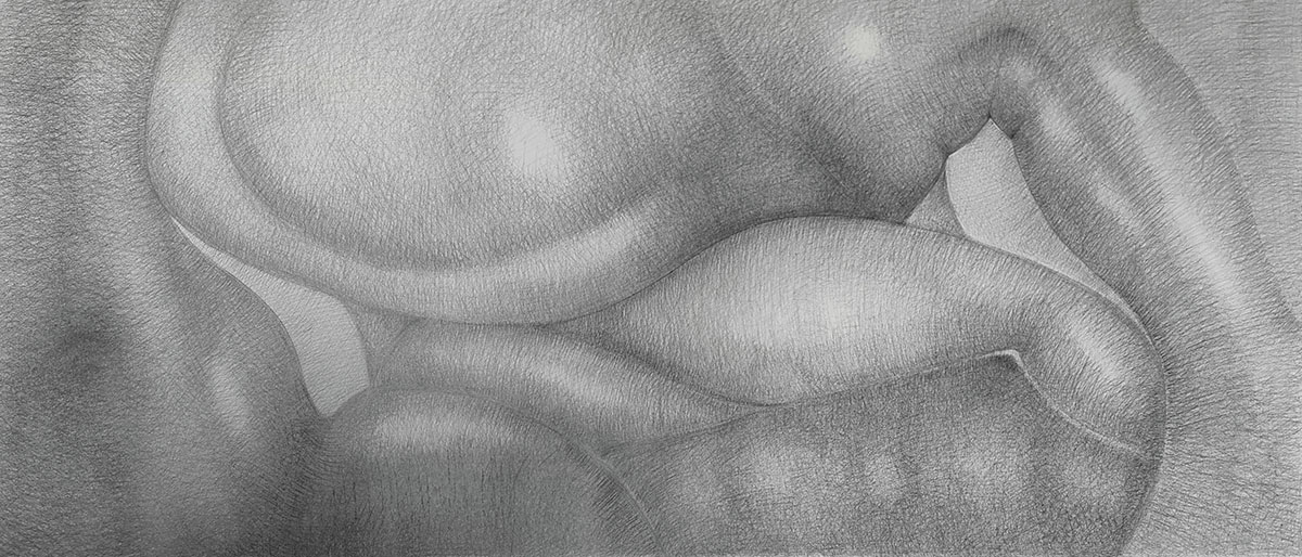 UNTITLED (BODYSCAPE 06), 202455 x 136 cmBleistift auf Papier; 