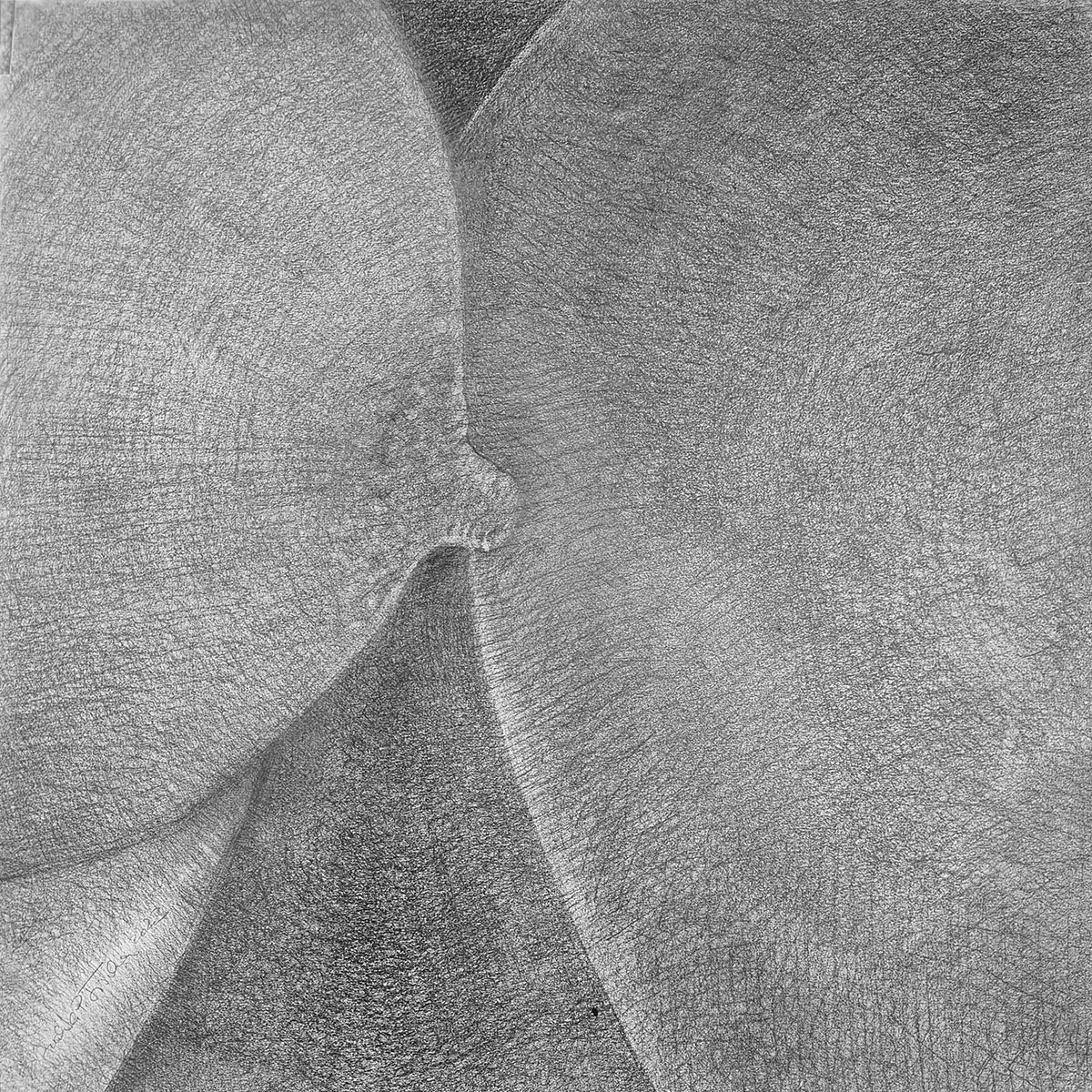 UNTITLED (BODYSCAPE 04), 202440 x 40 cmBleistift auf Papier; Museumsglas
