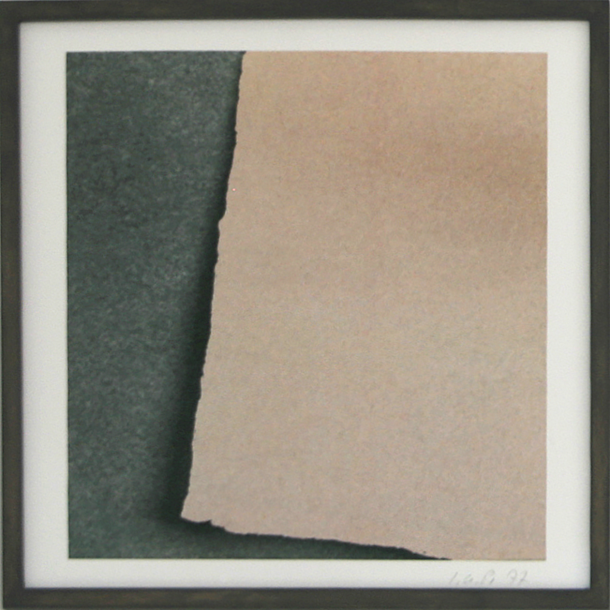 Vergrößerte Funde 3, 1977/201630 x 30 cmausgeschnittenes Papier, Pigmentdruck auf HahnemühleAuflage: 3